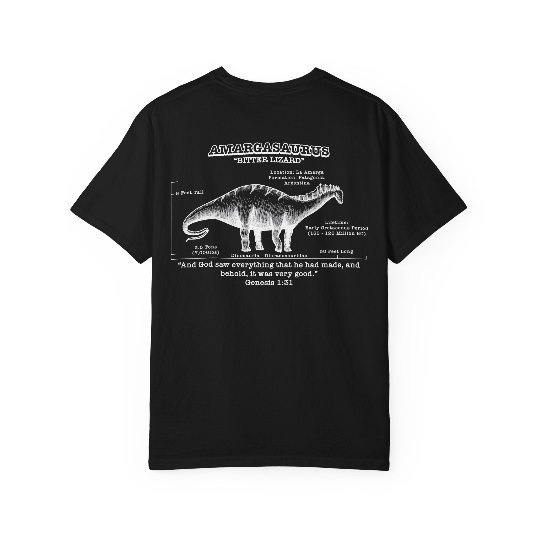 G131 Amargasaurus Tee
